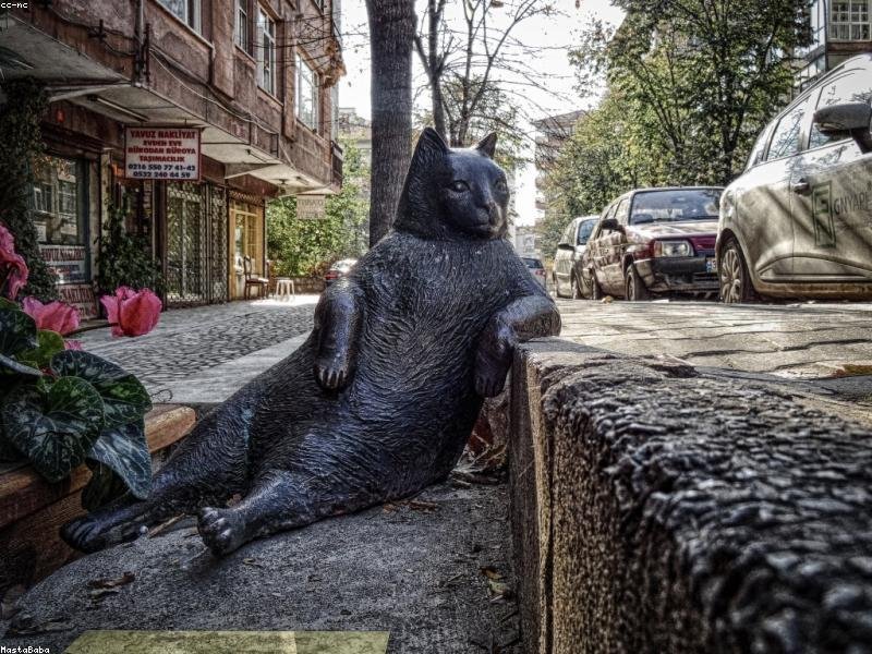 Thai Fried Rice